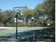 Outdoor basketball court surrounded by mature trees and lush greenery provides a great place for exercise at 17734 Long Ridge Rd, Tampa, FL 33647
