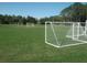 Well-maintained soccer field with multiple goals, set against a backdrop of mature trees and lush greenery at 17734 Long Ridge Rd, Tampa, FL 33647