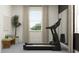 Bright home gym with a modern treadmill, natural light, and a peaceful workout environment at 18469 Serene Lake Loop, Lutz, FL 33548