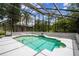 Screened-in pool with white concrete surround and fenced-in yard surrounded by lush trees at 18914 Geraci Rd, Lutz, FL 33548