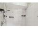 Bright shower room with handheld shower and overhead shower head at 18914 Geraci Rd, Lutz, FL 33548