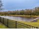 Scenic view of the pond, with a black metal fence at 2388 Oakwood Preserve Dr, Wesley Chapel, FL 33543