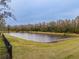 Scenic view of the pond, with a black metal fence at 2388 Oakwood Preserve Dr, Wesley Chapel, FL 33543