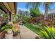 Backyard with a serene patio, lush plants, mature palm trees, and a privacy fence at 2475 Bay Berry Dr, Clearwater, FL 33763