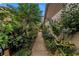 A charming side yard with lush landscaping and a walkway with greenery at 2475 Bay Berry Dr, Clearwater, FL 33763