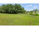 Lush green backyard featuring well maintained landscaping and space to roam at 25521 Bruford Blvd, Land O Lakes, FL 34639
