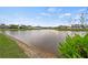 Scenic view of a pond bordered by grass and foliage, reflecting nearby houses at 25521 Bruford Blvd, Land O Lakes, FL 34639