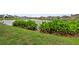 Picturesque view of a pond with lush vegetation along the grassy bank at 25521 Bruford Blvd, Land O Lakes, FL 34639