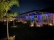 Night view of screened pool and outdoor space, enhanced with decorative lighting and landscaping at 2814 Duncan Tree Cir, Valrico, FL 33594