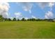 Vast green backyard showing the home, surrounding trees, and plenty of open space at 3212 E Merrin Rd, Plant City, FL 33567