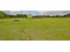 Lush backyard with a vast expanse of green lawn, ideal for outdoor activities and relaxation at 3212 E Merrin Rd, Plant City, FL 33567