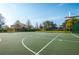 Outdoor basketball court with well-maintained surface, basketball hoops, and surrounding green space at 3305 Hoylake Ct, Land O Lakes, FL 34638