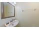 A half bathroom features a single sink vanity, a neutral color, and a large mirror at 3305 Hoylake Ct, Land O Lakes, FL 34638