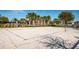 Community sand volleyball court with palm trees adds a tropical touch to your active lifestyle at 3305 Hoylake Ct, Land O Lakes, FL 34638