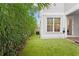 Well-maintained side yard featuring artificial turf and lush bamboo screening at 334 11Th Ne Ave, St Petersburg, FL 33701