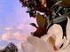 Up-close view of a beautiful white magnolia flower with a pink sky at 5103 98Th E Ave, Parrish, FL 34219