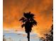 Stunning view of a dramatic sunset with a silhouetted palm tree and vibrant orange clouds in the sky at 5103 98Th E Ave, Parrish, FL 34219