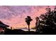 Beautiful sunset view with palm tree silhouette over houses, creating a tranquil and picturesque scene at 5103 98Th E Ave, Parrish, FL 34219
