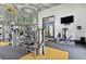 Modern fitness center equipped with a variety of weight machines, treadmills, and exercise equipment at 6109 Marsh Trail Dr, Odessa, FL 33556
