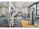 Bright gym featuring multiple machines, treadmills, ceiling fan, decorative ceiling and large window at 6109 Marsh Trail Dr, Odessa, FL 33556