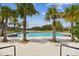 A relaxing community pool with palm trees offering shade and comfortable seating at 6109 Marsh Trail Dr, Odessa, FL 33556