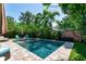 Private backyard pool area with a lush tropical landscape, great for relaxing or entertaining at 115 S Beverly Ave, Tampa, FL 33609