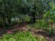 Secluded backyard featuring lush trees, vibrant flowers and plants at 11530 Arlhuna Way, Dade City, FL 33525