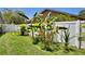 Backyard showcasing a manicured lawn with tropical plants and white fence at 12219 Steppingstone Blvd, Tampa, FL 33635