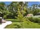 Lush backyard offers privacy and mature landscape at 12219 Steppingstone Blvd, Tampa, FL 33635