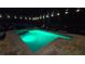Backyard pool with verdant custom lighting, surrounded by a patio, and lounge seating at 12219 Steppingstone Blvd, Tampa, FL 33635