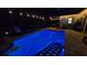 Backyard pool with blue custom lighting, surrounded by a brick patio, and outdoor decor at 12219 Steppingstone Blvd, Tampa, FL 33635