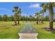 Outdoor shuffleboard court lined with palm trees and surrounded by green lawns at 12219 Steppingstone Blvd, Tampa, FL 33635