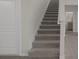 Carpeted staircase with neutral tones leading to the second floor and bathroom at 13919 Wineberry Dr, Dade City, FL 33525