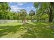 Expansive backyard featuring lush green grass, mature trees, playground, and perimeter fence at 1460 Kensington Woods Dr, Lutz, FL 33549