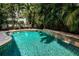 Beautiful clear pool with a tile waterfall feature amidst tropical landscaping at 147 Bay Point Ne Dr, St Petersburg, FL 33704