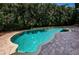 Relaxing backyard pool area surrounded by mature palm trees and brick pavers at 147 Bay Point Ne Dr, St Petersburg, FL 33704