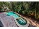 Backyard pool and jacuzzi, surrounded by lush tropical plants and greenery, set on a brick-paved patio at 147 Bay Point Ne Dr, St Petersburg, FL 33704