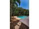 Private backyard oasis with a sparkling pool surrounded by mature tropical trees at 147 Bay Point Ne Dr, St Petersburg, FL 33704