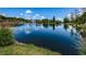 Picturesque pond featuring a fountain, tranquil water, and beautiful tree reflections at 1528 Riverdale Dr, Oldsmar, FL 34677