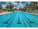 Resort-style community pool with lap lanes and lounge areas, perfect for relaxation and recreation at 1528 Riverdale Dr, Oldsmar, FL 34677
