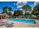 Community pool surrounded by mature trees and lounge chairs with access to restrooms at 1528 Riverdale Dr, Oldsmar, FL 34677