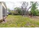Expansive backyard featuring a lush green lawn and mature trees at 1852 Longview Ln, Tarpon Springs, FL 34689