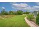 Backyard featuring an expansive lawn and brick path at 241 Royal Palm Way, Spring Hill, FL 34608