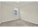 Carpeted bedroom featuring a window with natural light and neutral wall paint at 3146 Forrest Plum Ct, Zephyrhills, FL 33540