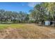 Large backyard with mature trees and open space, great for outdoor activities at 3147 Sydney Dover Rd, Dover, FL 33527