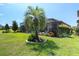 Landscaped backyard with green grass and a screened-in patio with a lovely palm tree and a blue sky at 3167 Forsythia Dr, Odessa, FL 33556