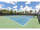 Bright and sunny view of the community pickleball courts with blue and green surfacing and nets at 3167 Forsythia Dr, Odessa, FL 33556