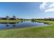Picturesque view of a serene pond surrounded by lush green lawns and well-manicured landscaping at 3167 Forsythia Dr, Odessa, FL 33556