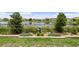 Backyard with a stone water feature, manicured landscaping, and a tranquil lake view, enhancing outdoor serenity at 33219 Kateland Dr, Wesley Chapel, FL 33545