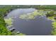 Breathtaking aerial view of a lake showcasing lillypads, docks, and lush surrounding greenery at 4783 School Rd, Land O Lakes, FL 34638